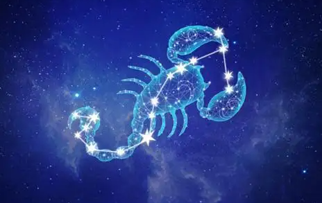 07872b16d902098098df76030d4199a.png
