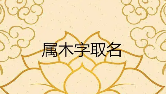 1660546925983134.png