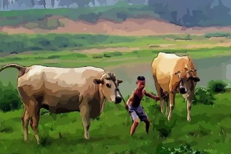 1665284686685270.png