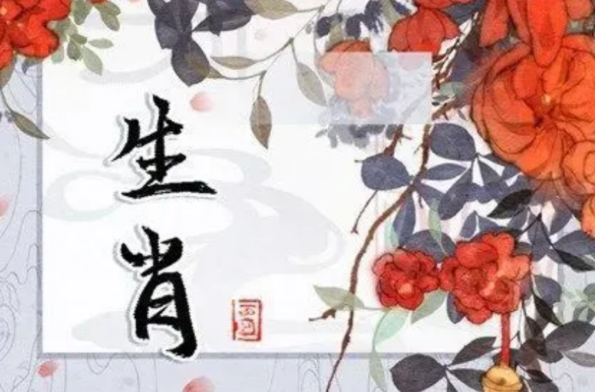 1675648661517532.png