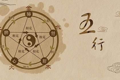 2024年是什么年?2024年属什么生肖 2024年是什么年?2024年属什么生肖