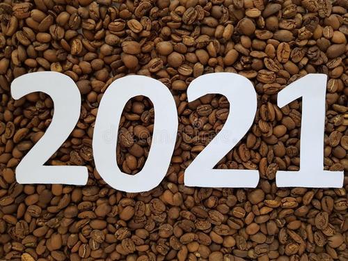 麦玲玲：2021年属鼠人的全年运势